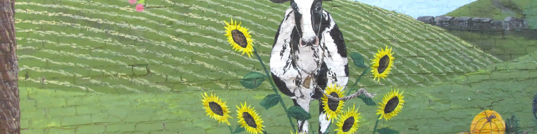 Great public services are available at the City of Lake Park, Minnesota.